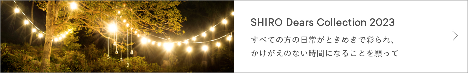 SHIRO Dears Collection 2023