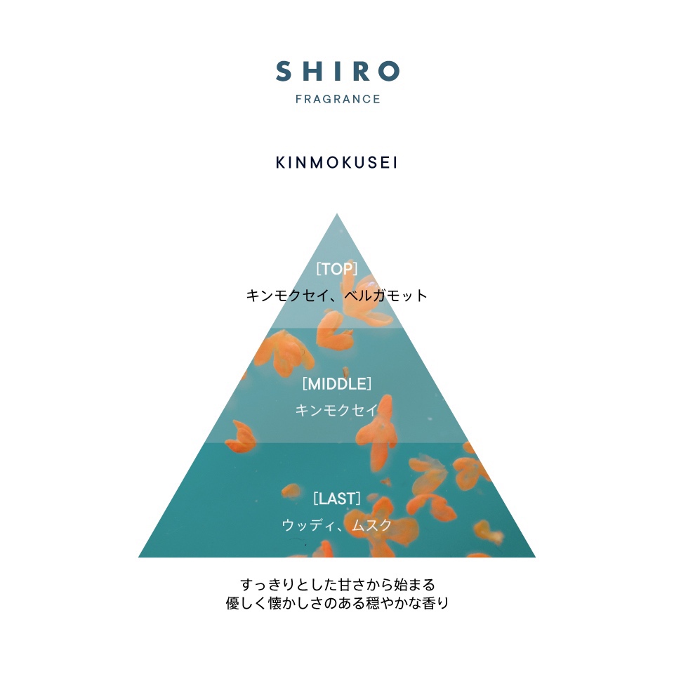 SHIRO  キンモクセイ