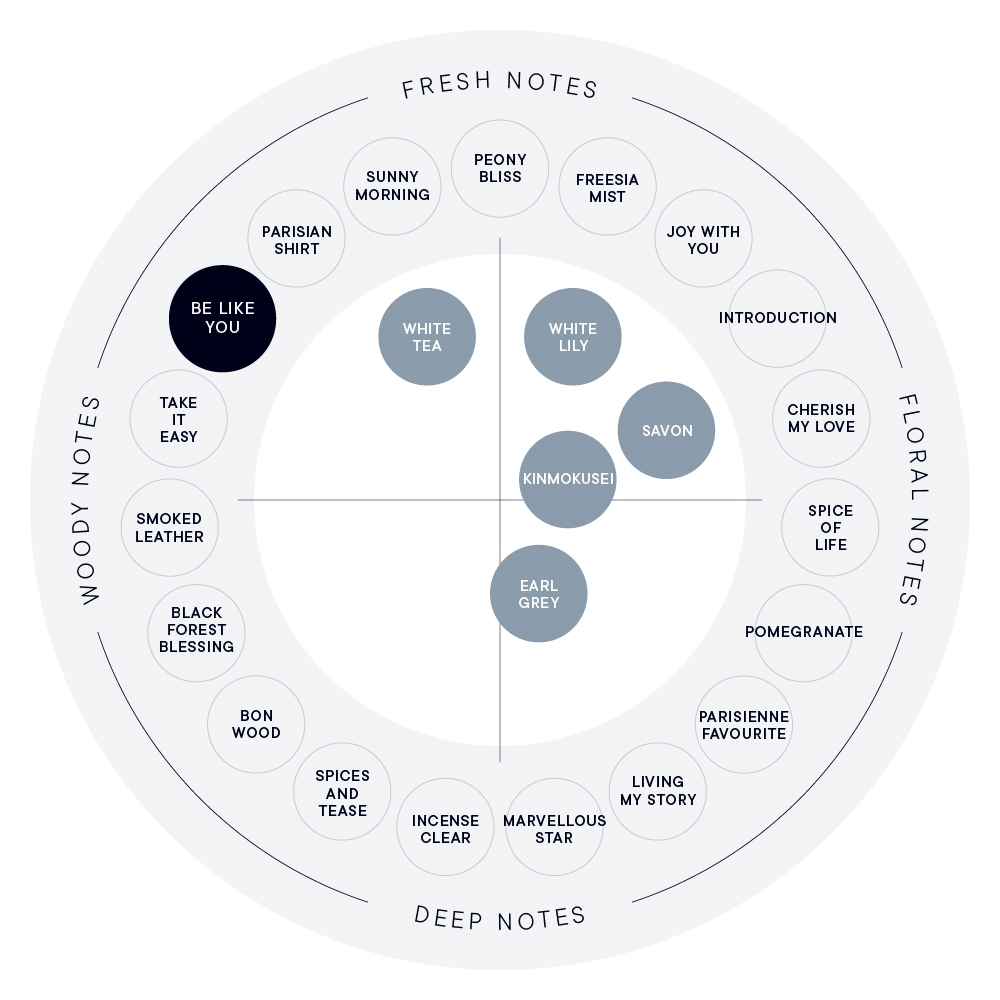 BE LIKE YOU ボディミスト