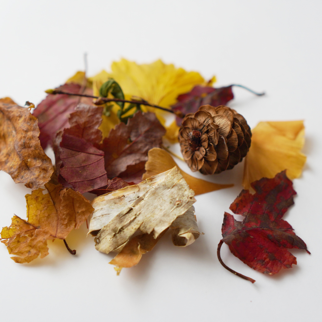 ホワイトティー フレグランスポプリ