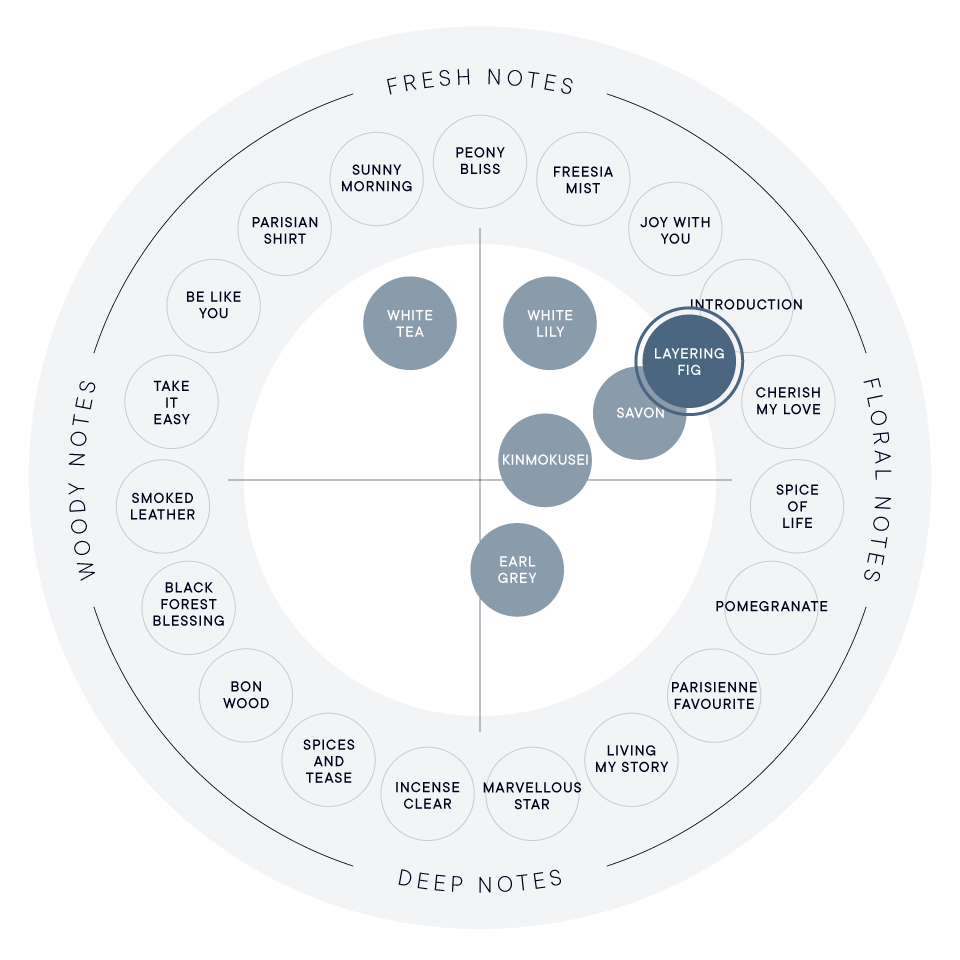 香りのイメージ図