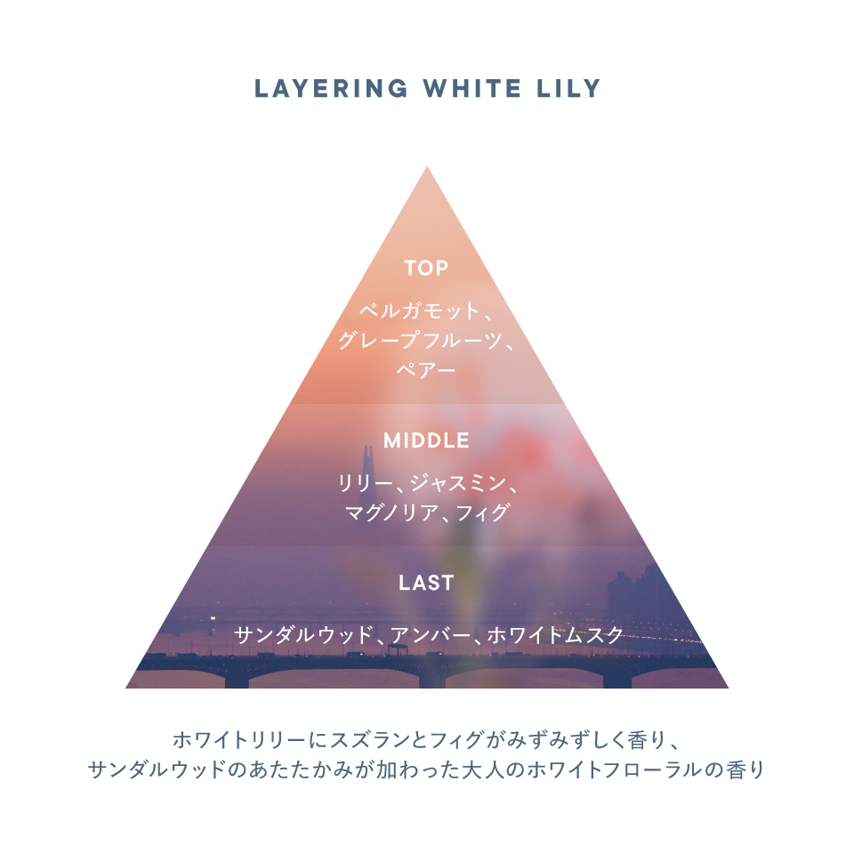 香りのイメージ図