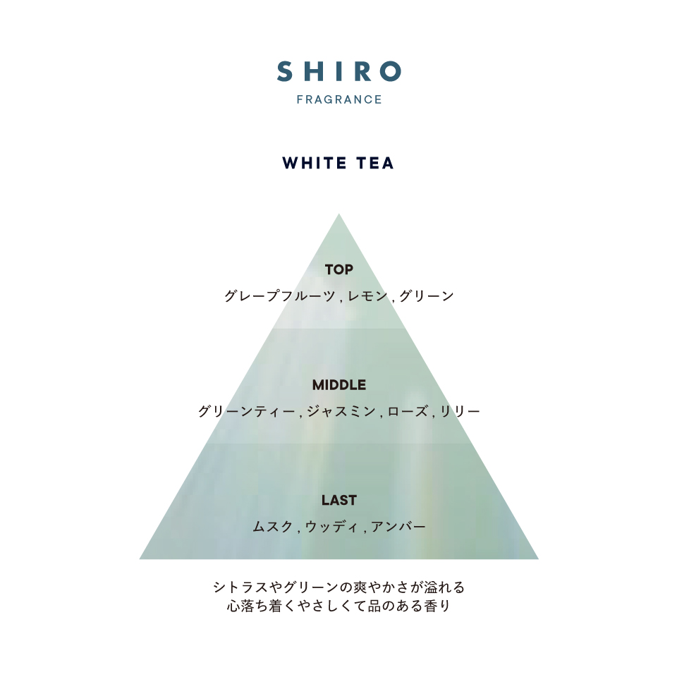 Shiro ホワイトティー