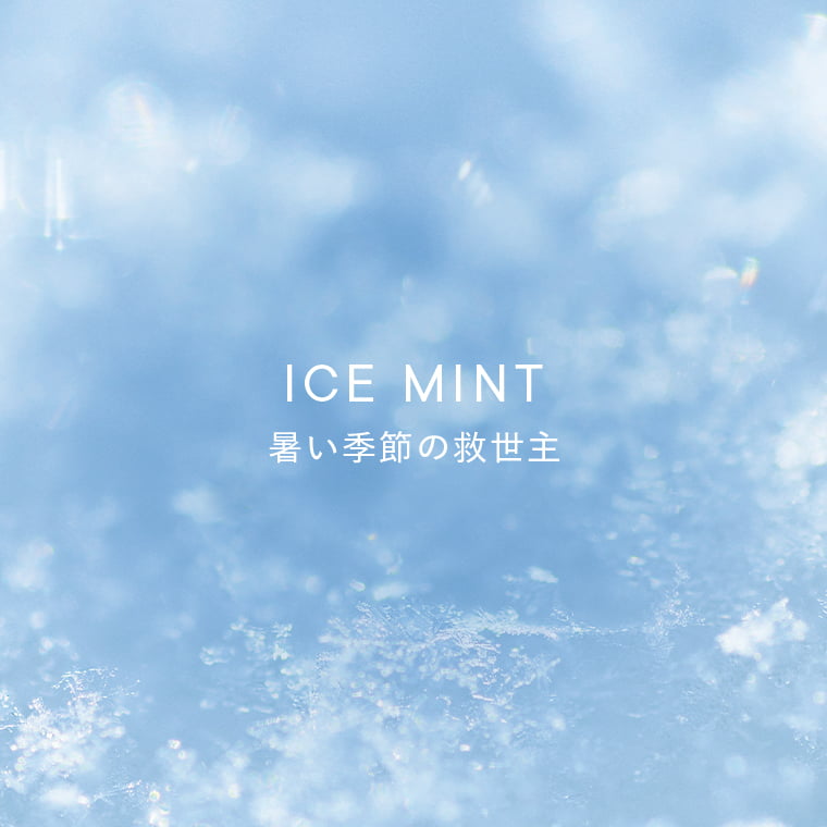 ICE MINT 暑い季節の救世主