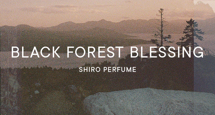 ブラックフォレストブレッシングの香り全製品 | SHIRO