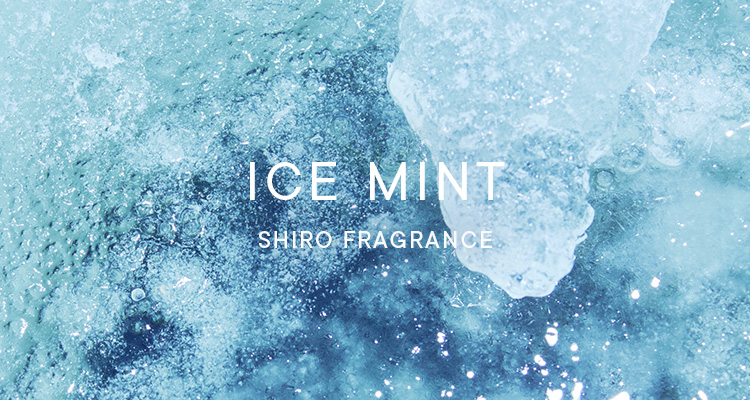 楽天市場】shiro アイスミントの通販