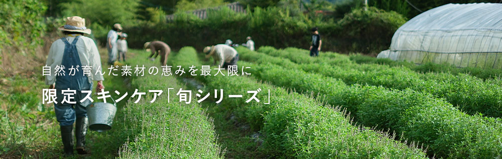 限定スキンケア「旬シリーズ」