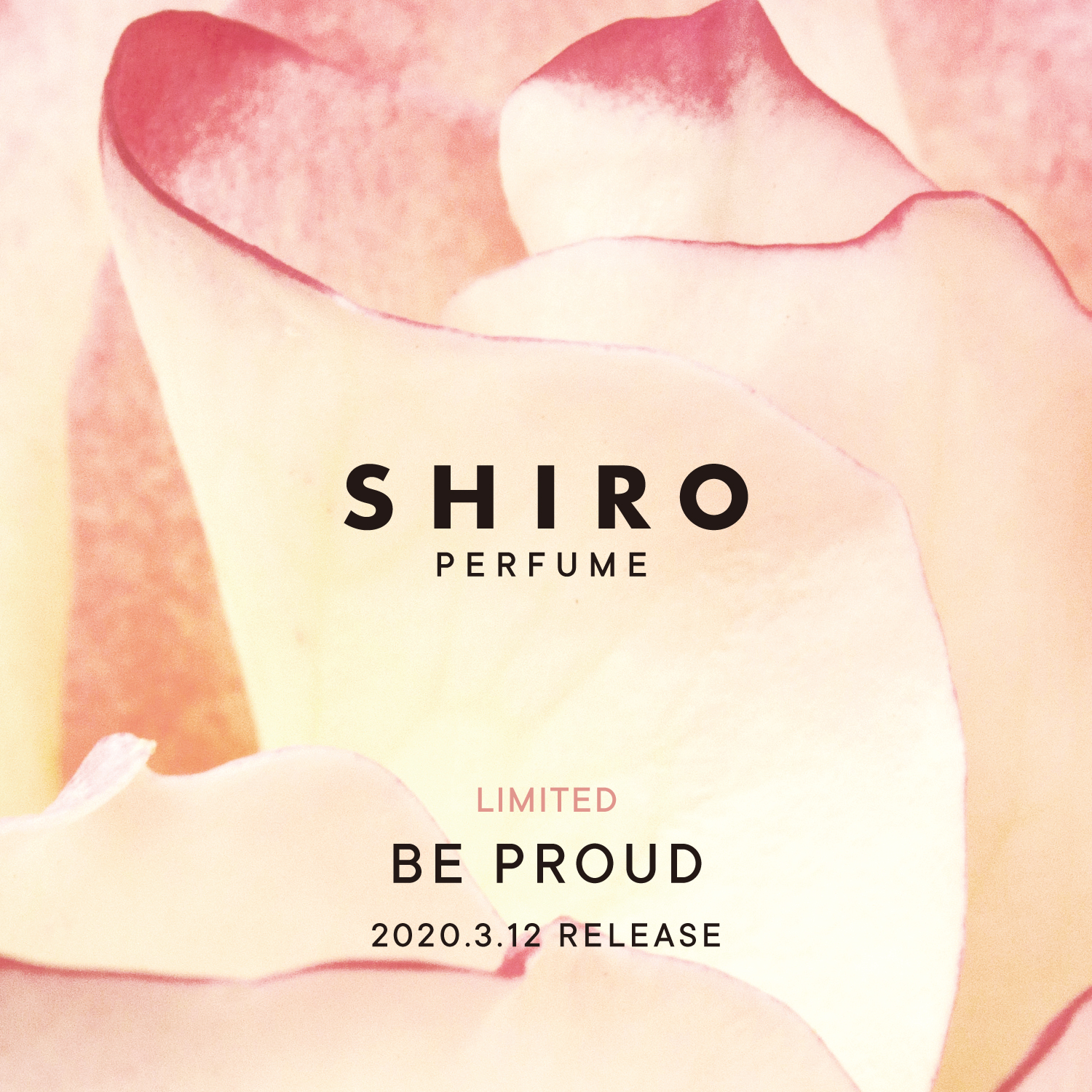 【本日発売】数量限定BE PROUD