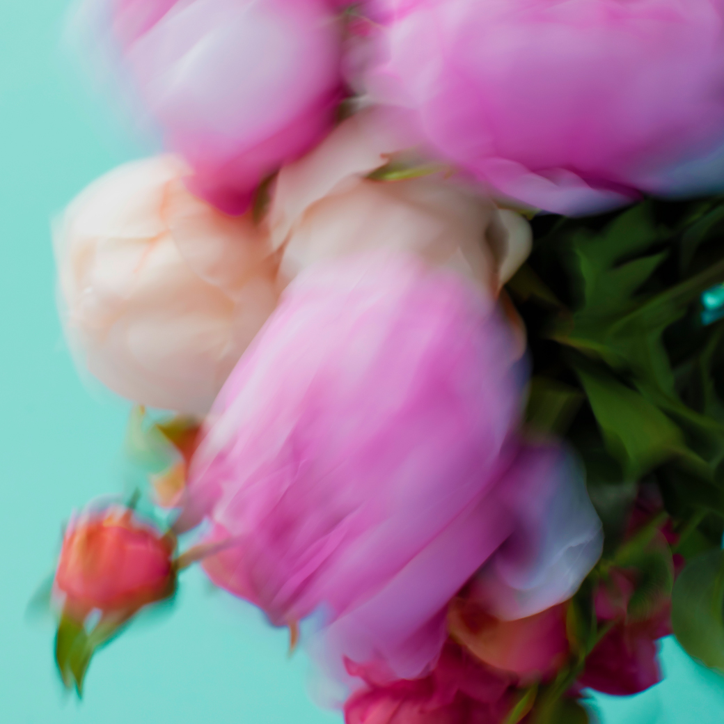 「SHIRO 渋谷PARCO POP UP STORE」にて3月12日（火）より限定フレグランス『ピオニー』の先行発売のお知らせ