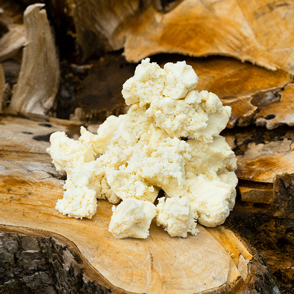 ＜ビューティーコラム vol.28＞シアバターは肌にどんな効果がある？おすすめの使い方や注意点もご紹介