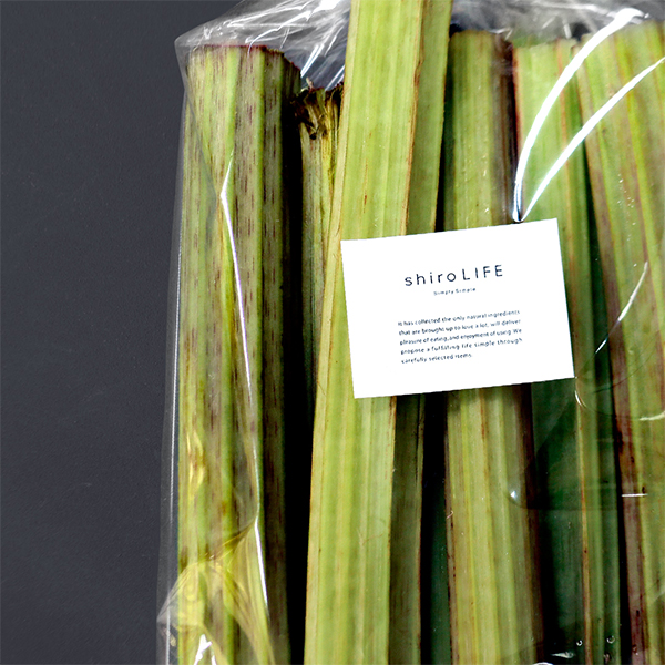 旬をとじこめた日本一大きなラワンぶき