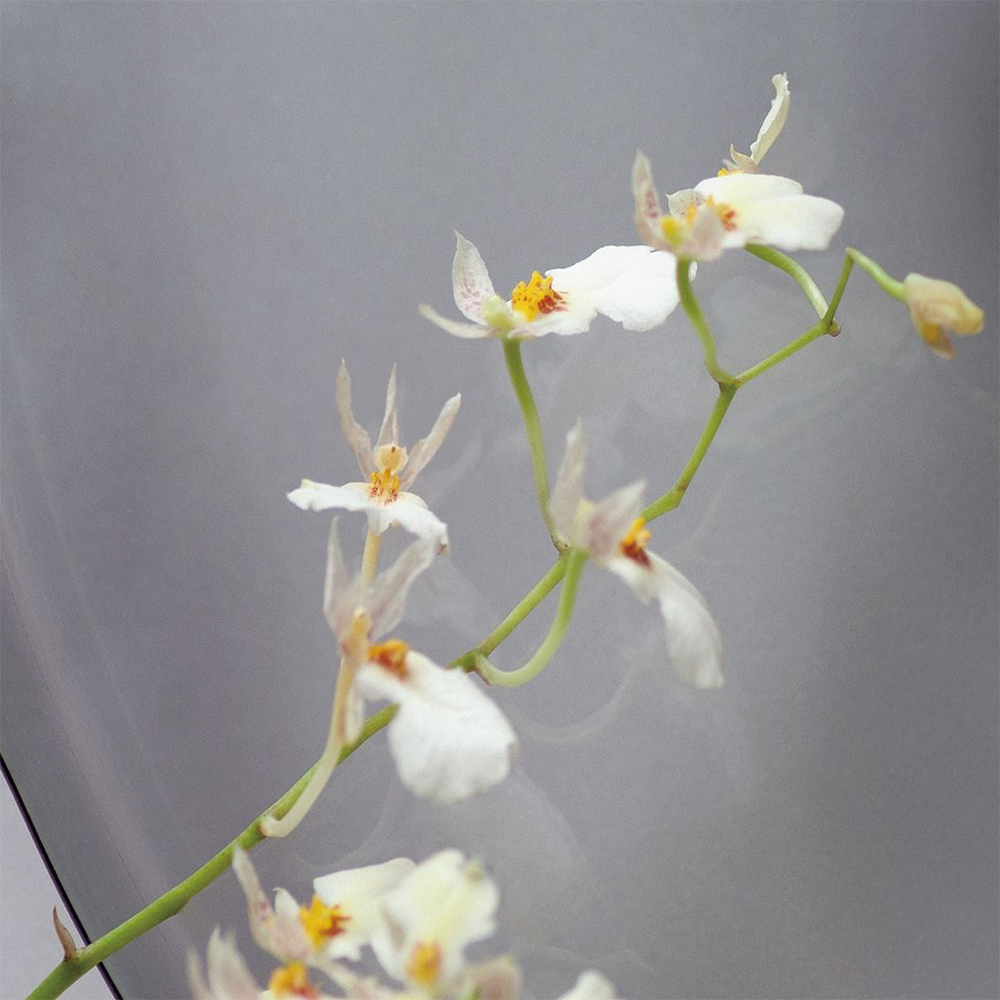 一通のメールが教えてくれた、伝えるということ