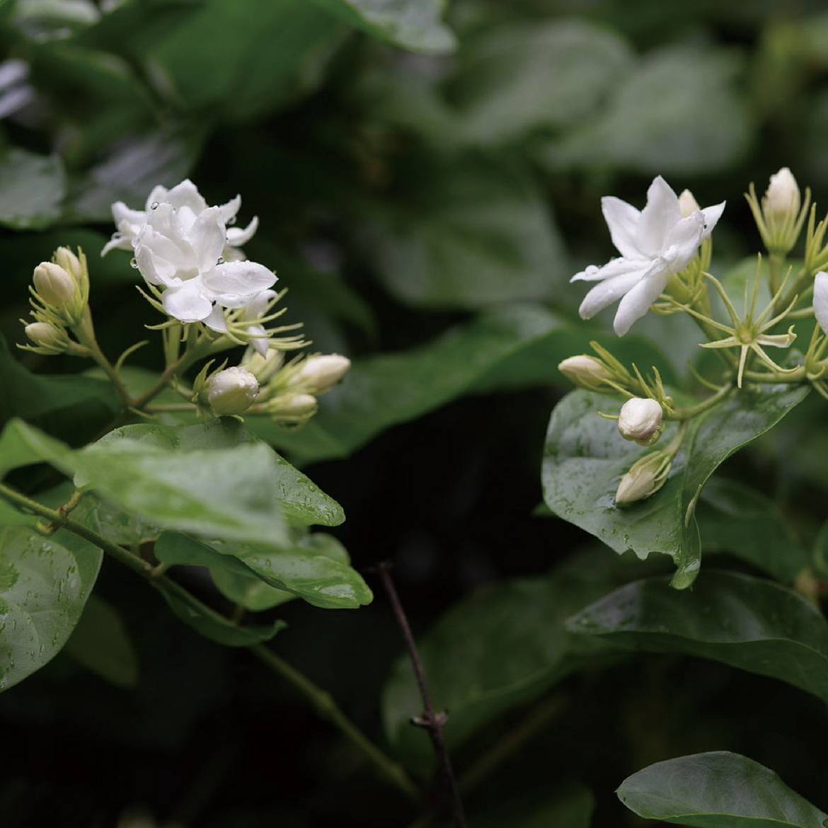 皆さんの隣で、未来をつくっていきたい