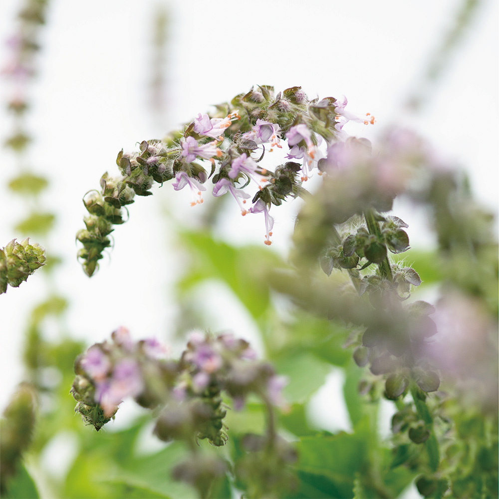 わたしが学んできたこと 今ここにいる理由