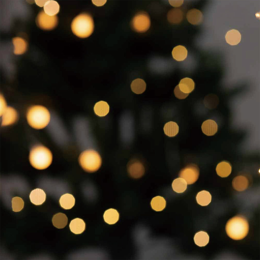 いつも応援してくださる皆さまへ