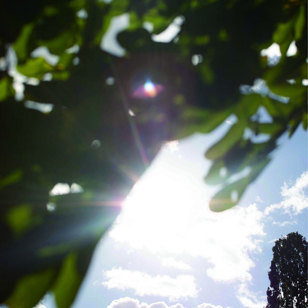自分の物語としてSHIROを語っていたい