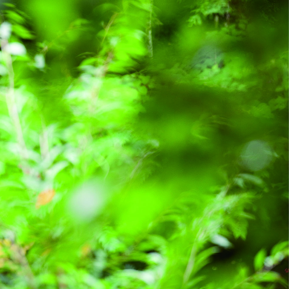 ひとりの思いやりが生み出すしあわせ