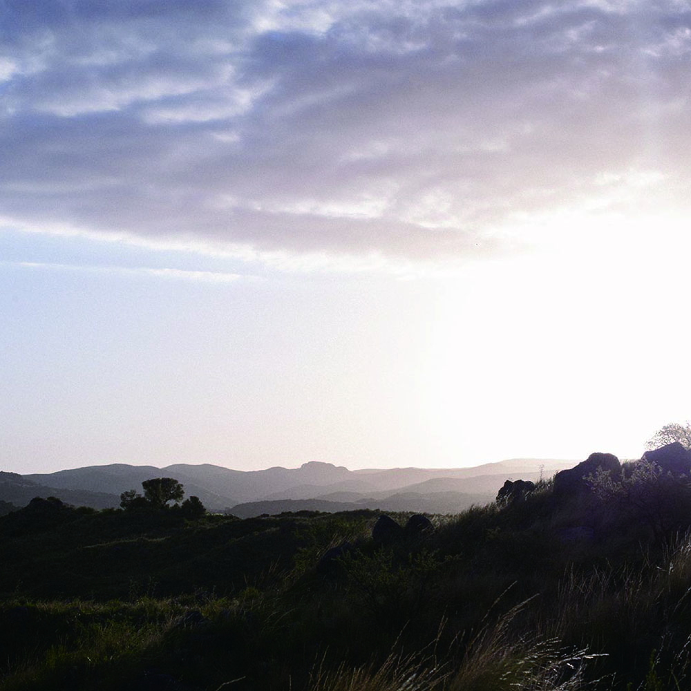 なりたい自分でいるために選ぶこと