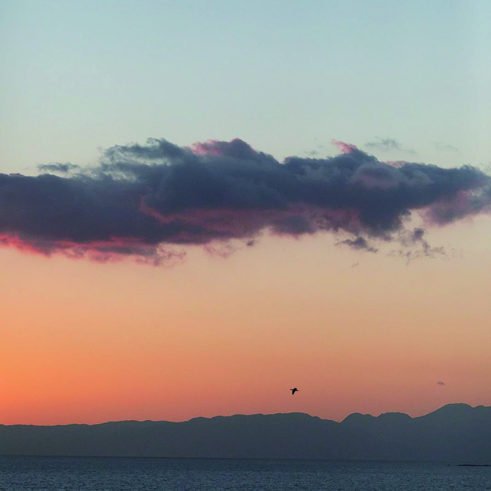 僕がお客様の前に立ち、届けたいこと