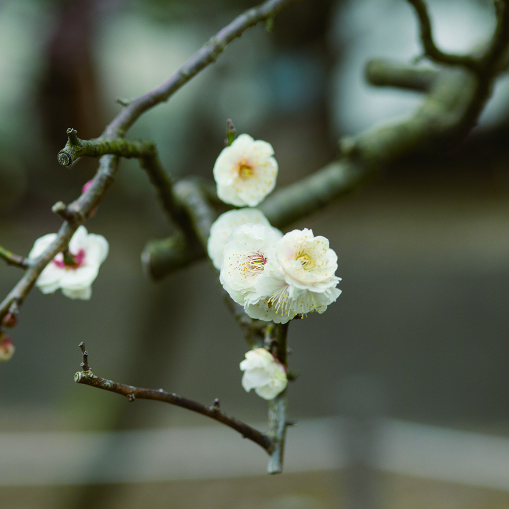 皆さまと同じだけの想いをのせて