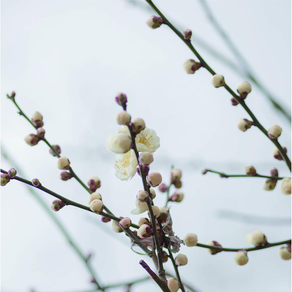 僕に希望を知らせてくれるもの