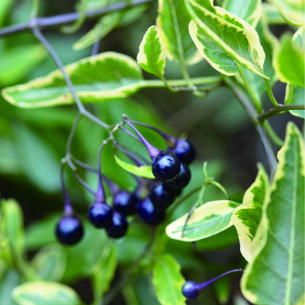 想像できない未来を楽しむ