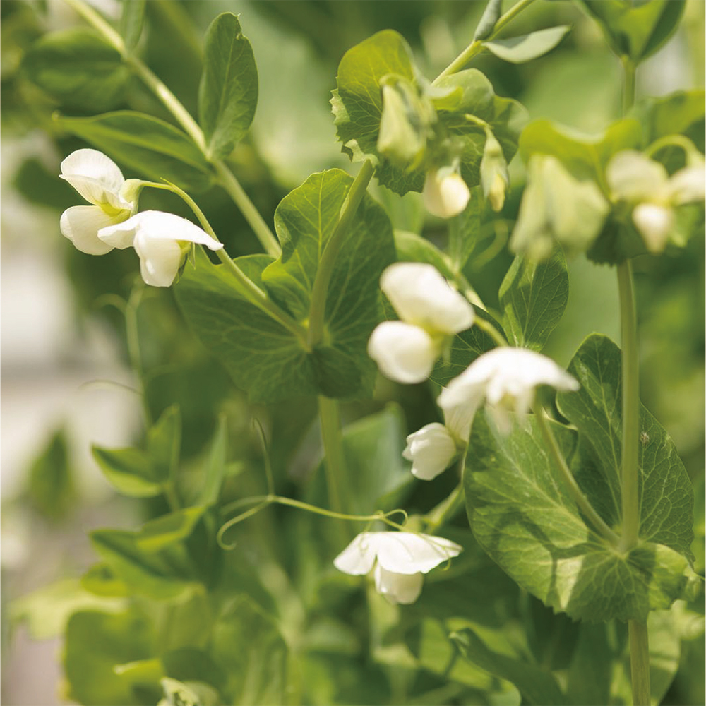 人と関わり、自分で選ぶ未来
