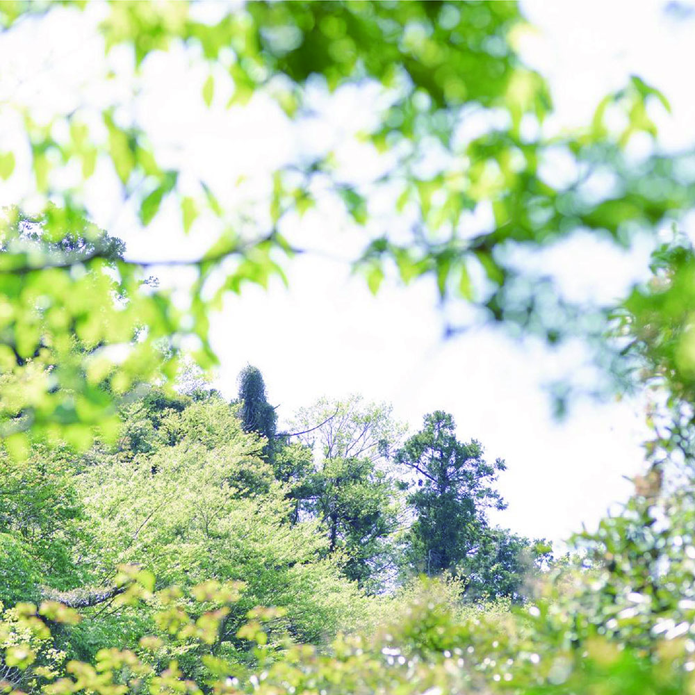 訪れた人と心をつなぐ場所