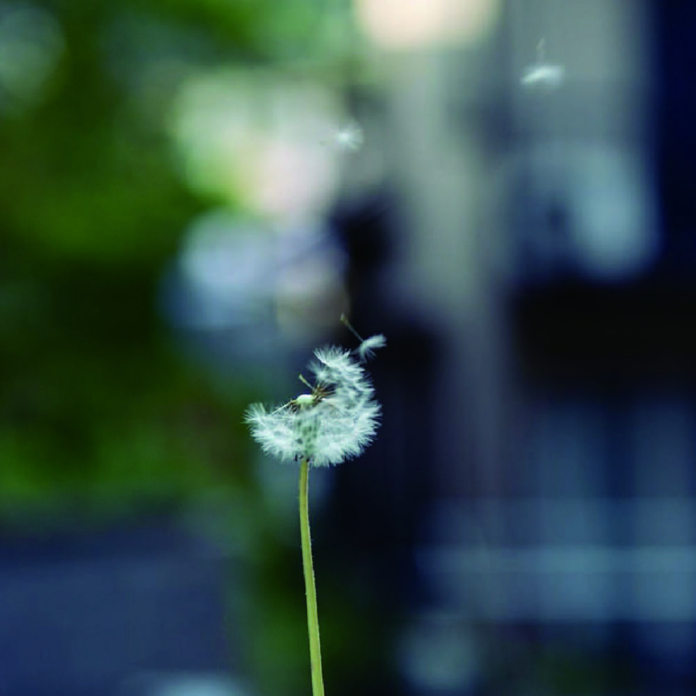 家族と仕事と毎日