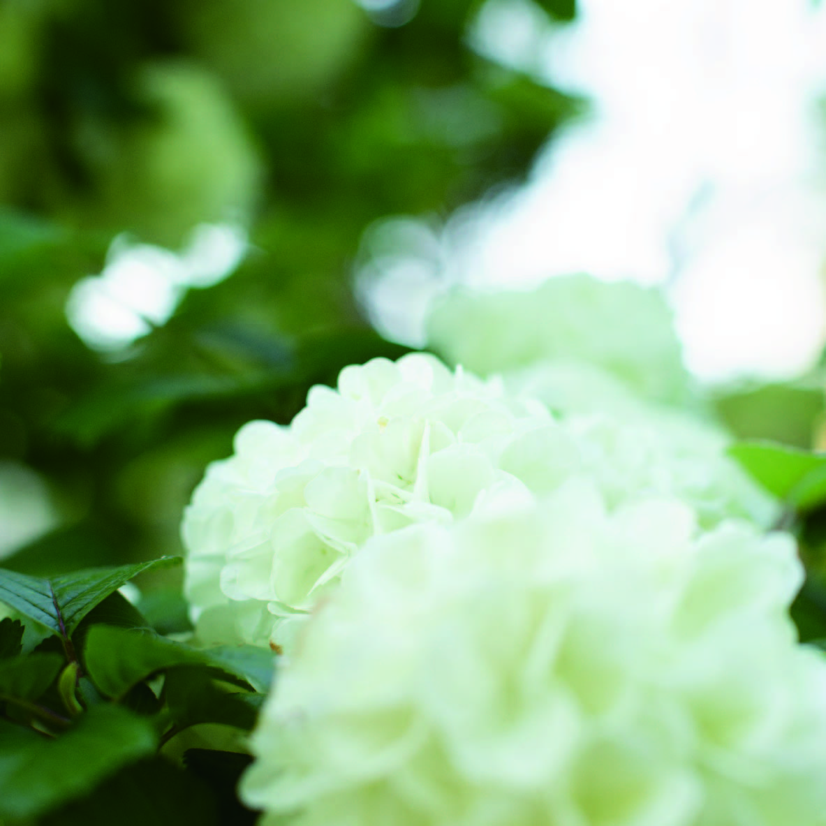 未来をつくる仲間たち