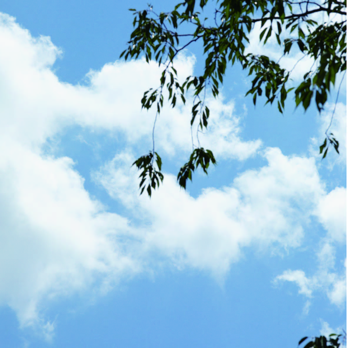 SHIROで働き、変化する自分