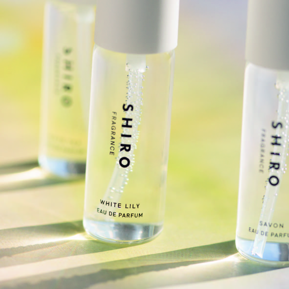 サボン、ホワイトリリーと迎える新しい未来