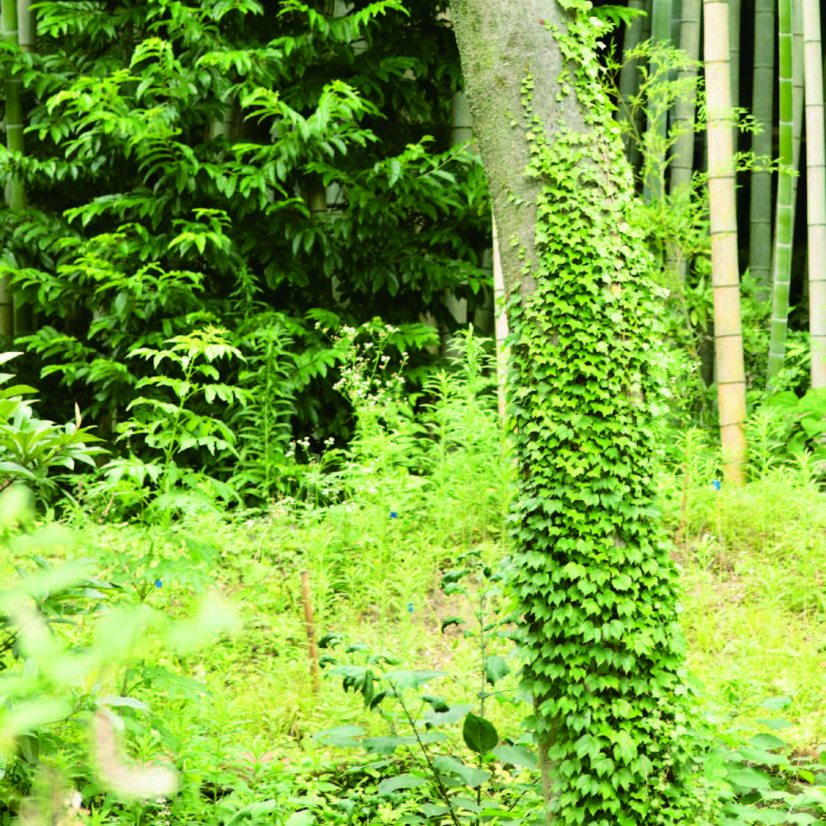 もっと知り、もっと伝えたい楽しさとの出会い