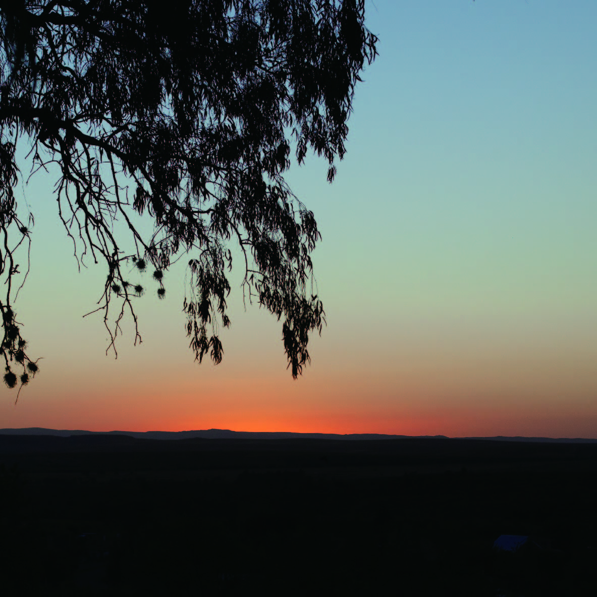 砂川の街に立ち、変わった私の想い