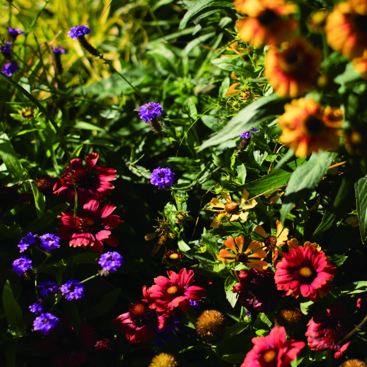 共に未来をつくる人について