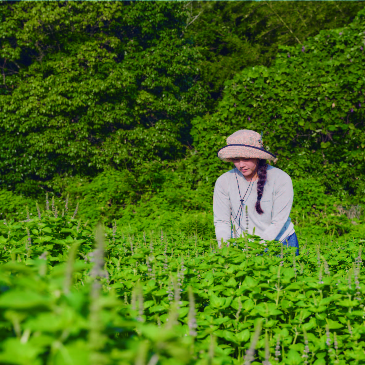ママ、ホーリーしてきたの？