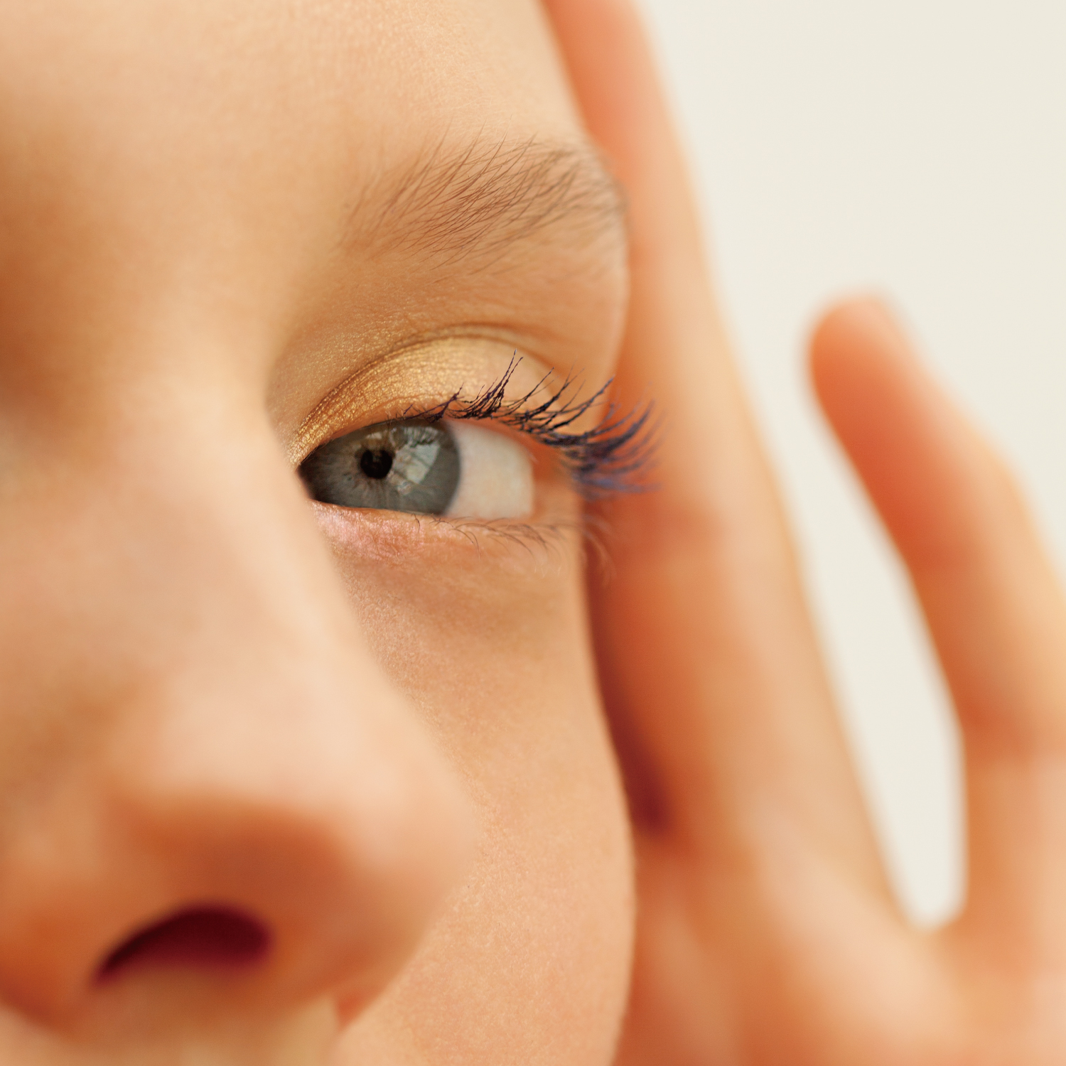 数量限定ジンジャーアイシャドウパレット