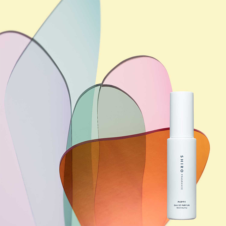 【本日発売】数量限定ポピー