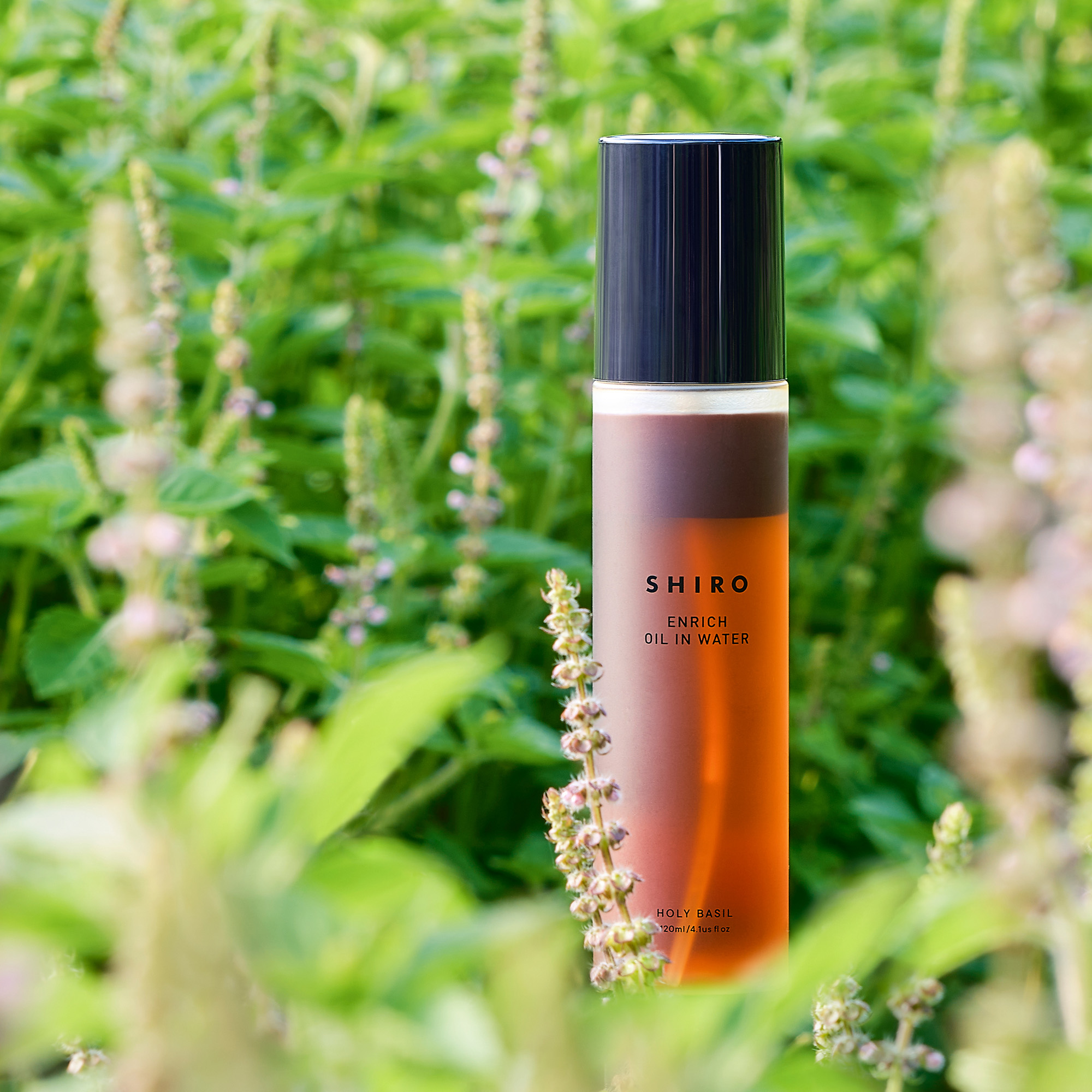 2年目のホーリーバジルオイルインウォーターが旬シリーズに登場より香りを追求した、肌と深呼吸のためのフェイスミスト