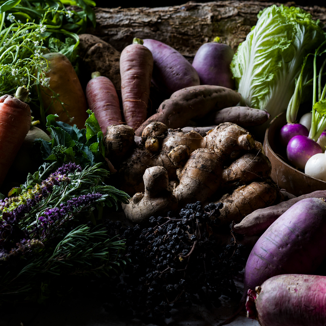 自然素材のおいしさを料理で伝える「SHIRO CAFE」のメニューがリニューアル。1/26(木)より、メニューの価格改定をさせていただきます。