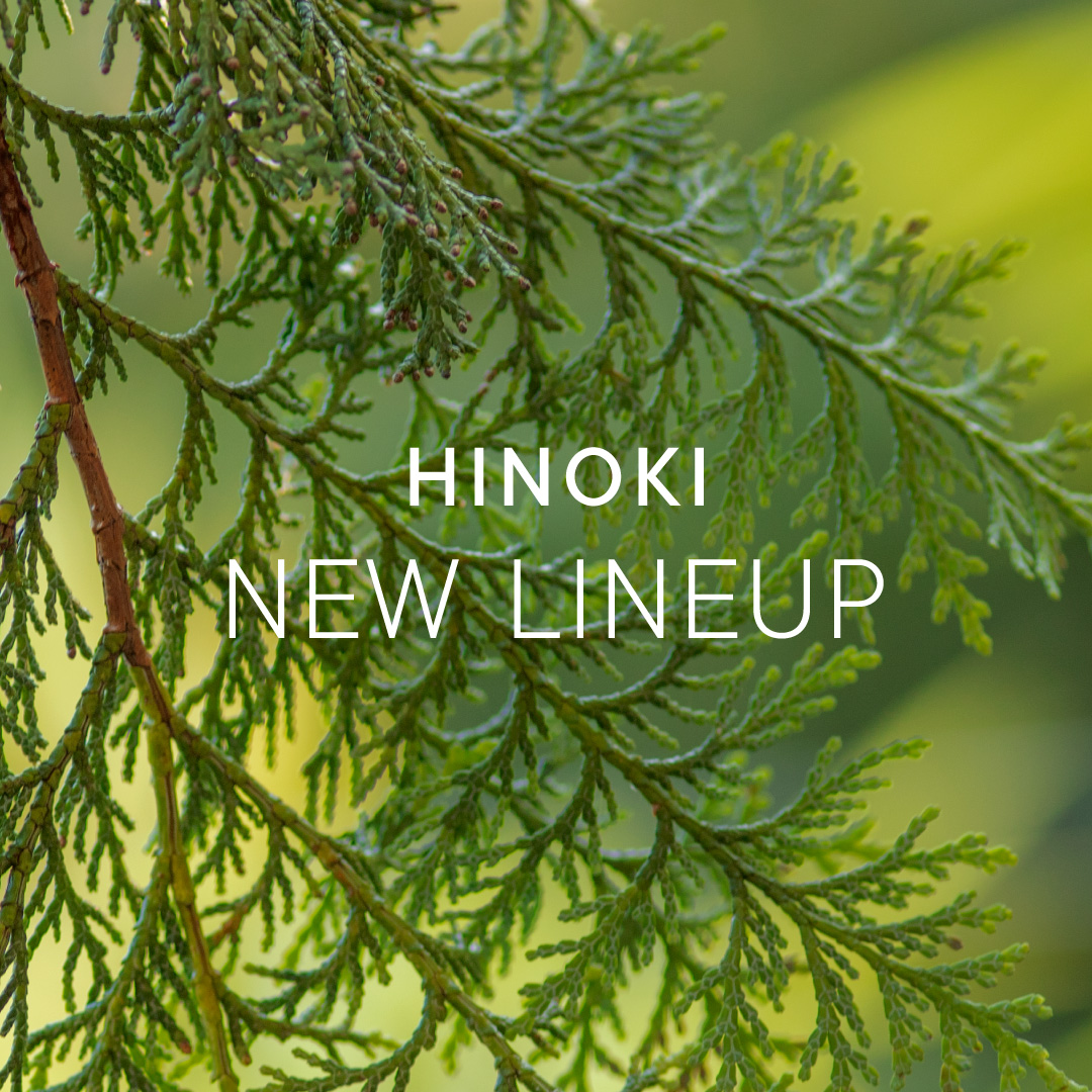 深呼吸するたび、森の奥へ。芳醇なヒノキの香りから新アイテムが登場丁寧に抽出された精油を贅沢に、ふんだんに