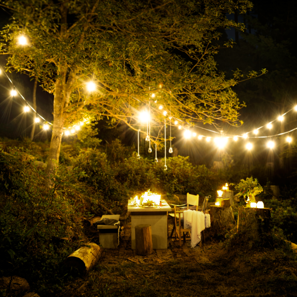 「SHIRO Dears Collection 2023」