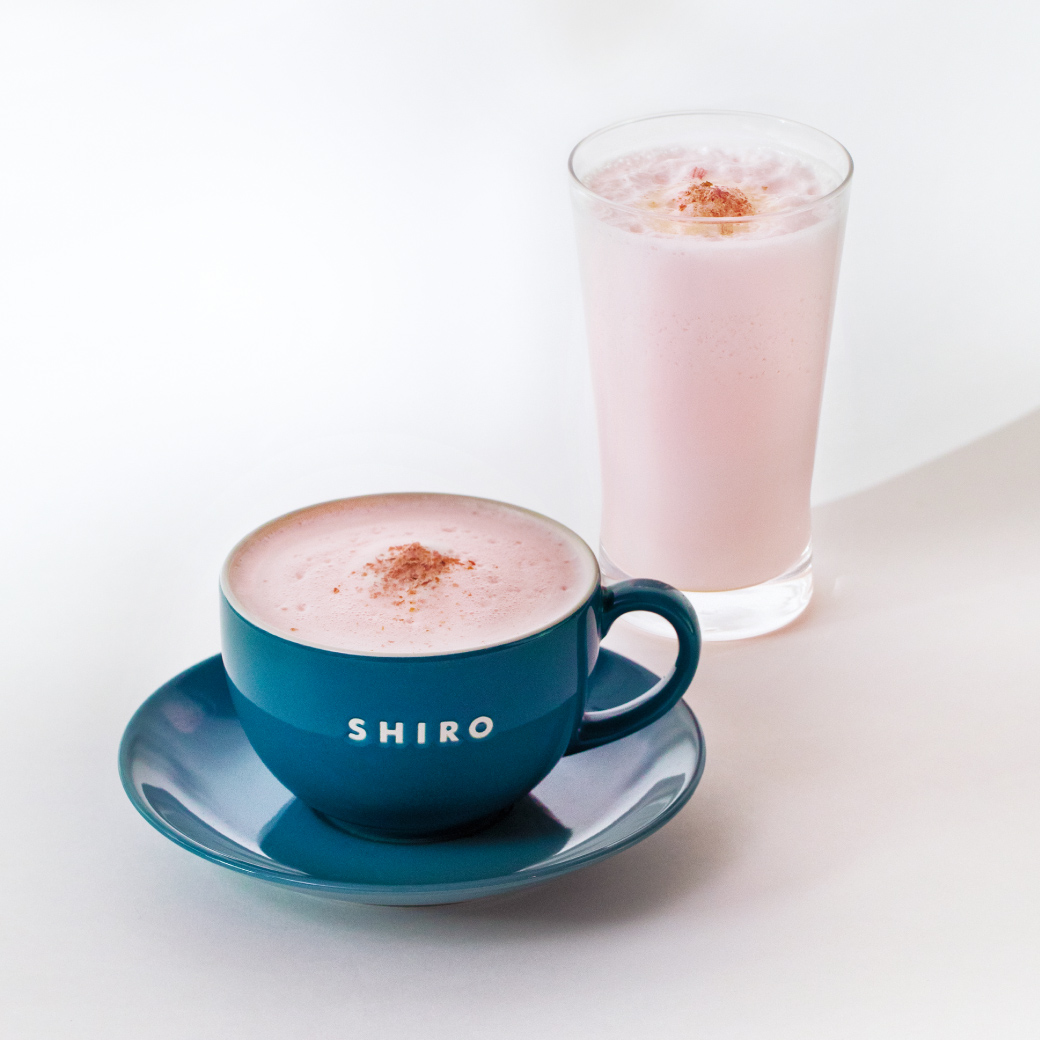 SHIRO CAFE 桜の限定ドリンクが期間限定で登場