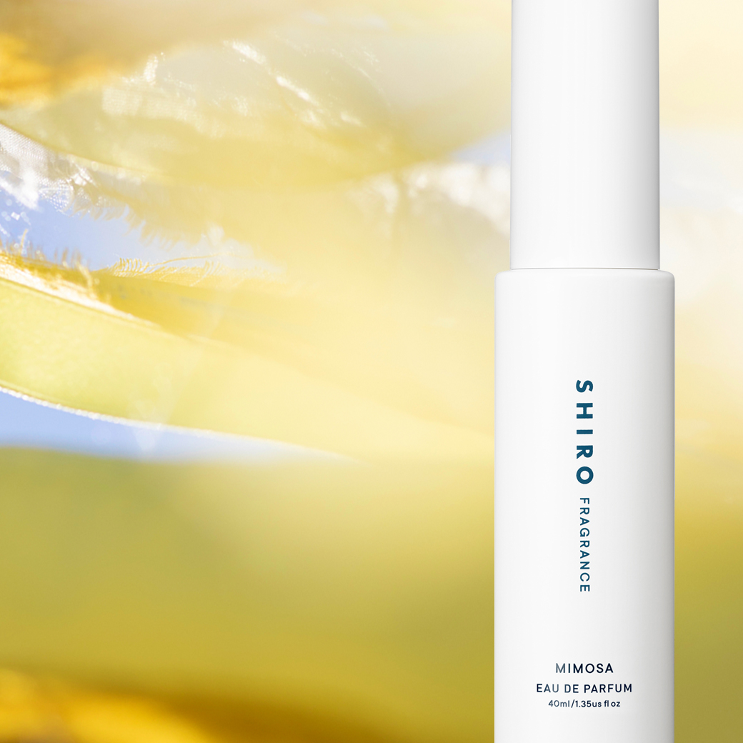 春の心地よさを感じる「ミモザ」が今年も登場爽やかなグリーンフローラルを春風にのせて