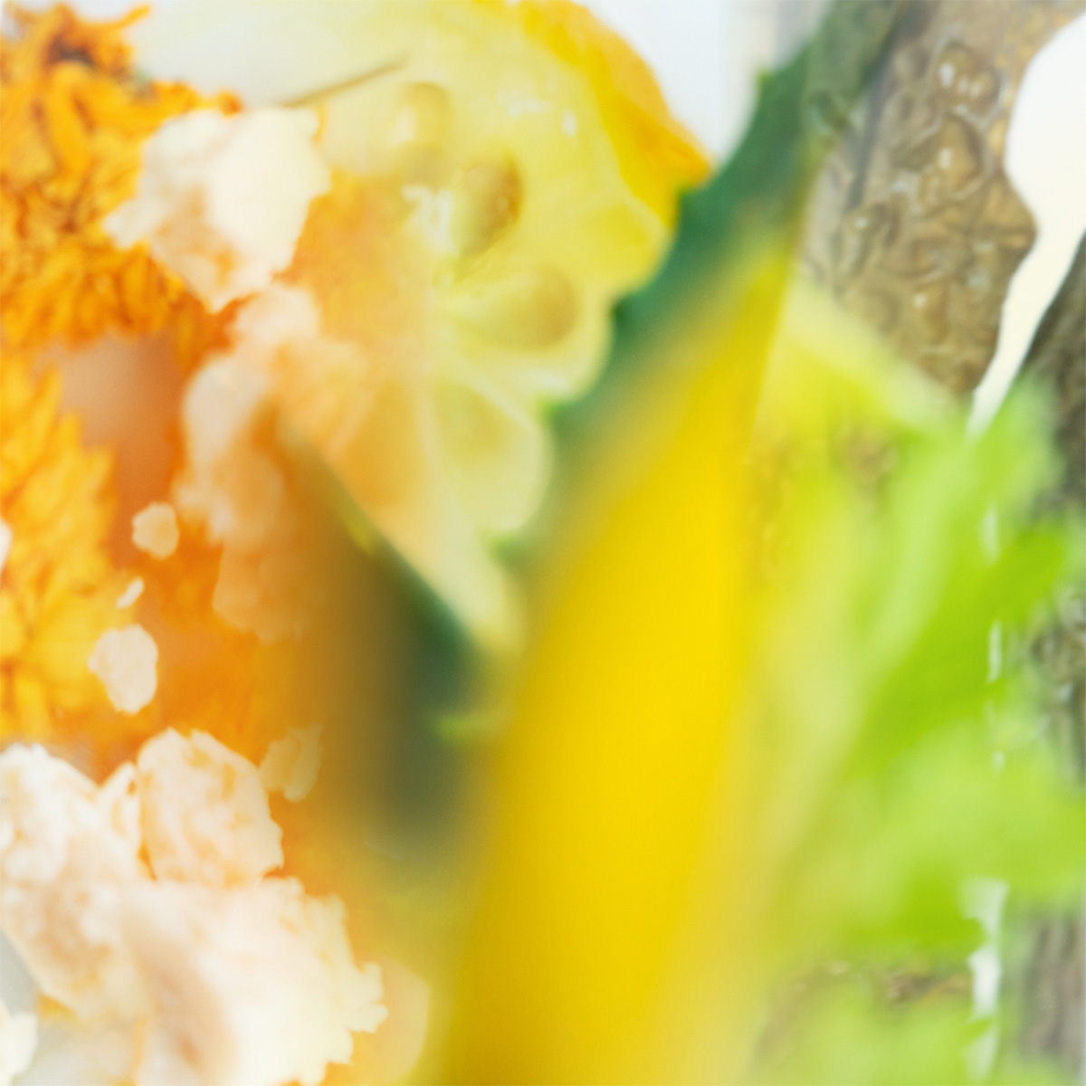 厳選した素材を組み合わせ、さまざまな肌悩みにアプローチする、オールインワン美容液3種の「オイルインセラム」が数量限定で登場