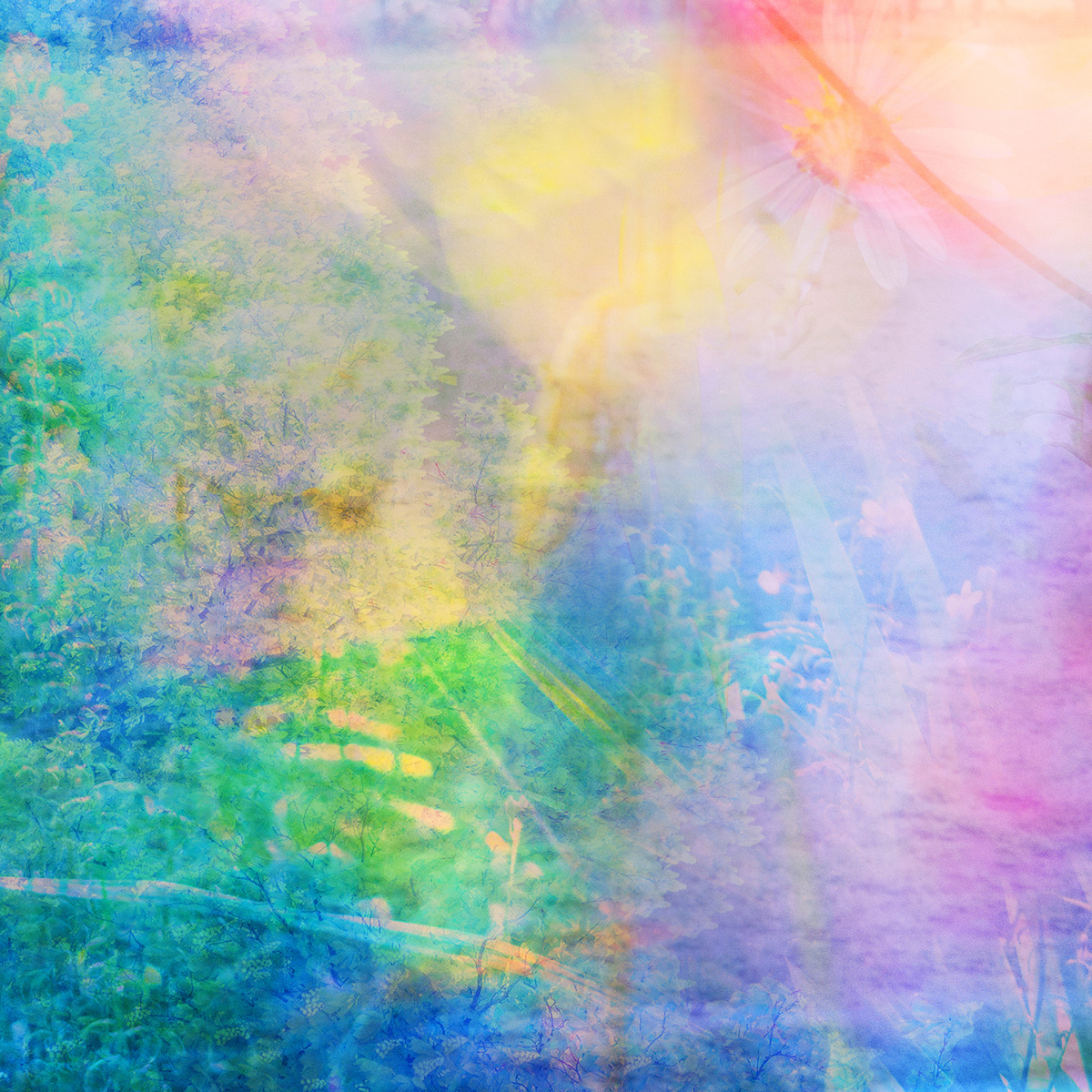 夏の香りが重なり合う限定パフューム「LAYERS OF BLOOM」が初登場