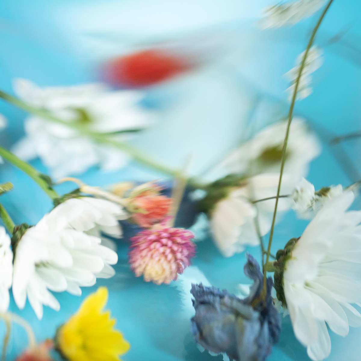 透明感あふれる、夏にぴったりなフローラルブーケの香り限定フレグランス「サマーブーケ」が初登場