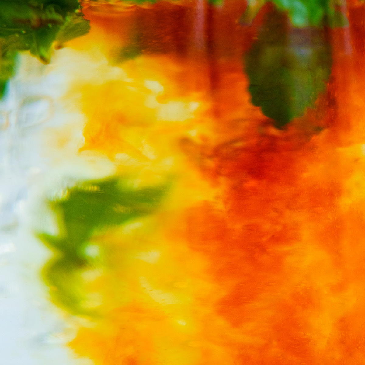 茶葉の香ばしさと上品な甘さにレモングラスが爽やかさを添える新しくなった「和紅茶」が数量限定で登場