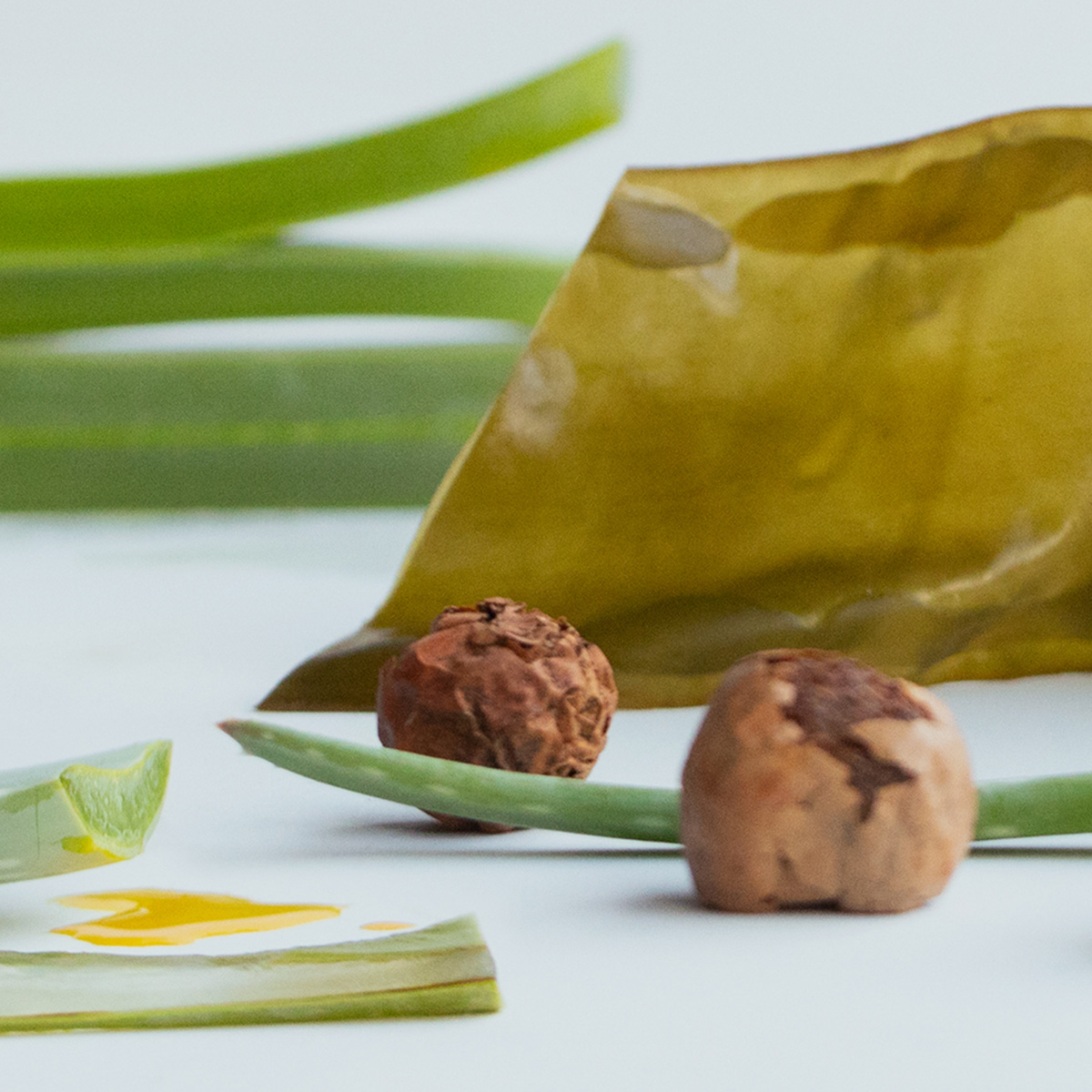 肌と心が潤いで満たされるオールインワン美容液『日高昆布アロエタマヌオールインセラム』が登場