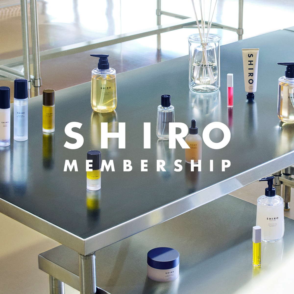 日本国外のSHIRO直営店舗でのご購入履歴反映開始のお知らせ